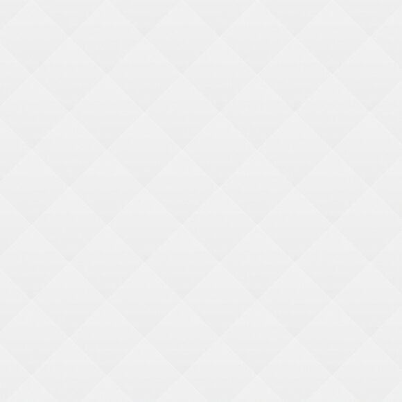 Installation “Strange Life”