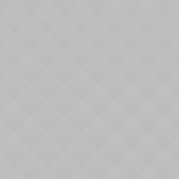 Exhibition of the Dutch Artist