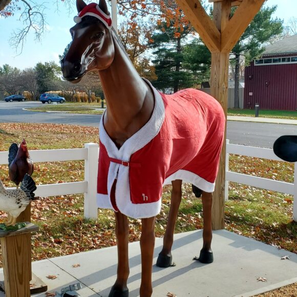 xFront Horse Holiday Closures