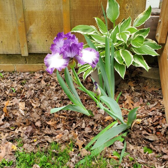 Spring is Here!