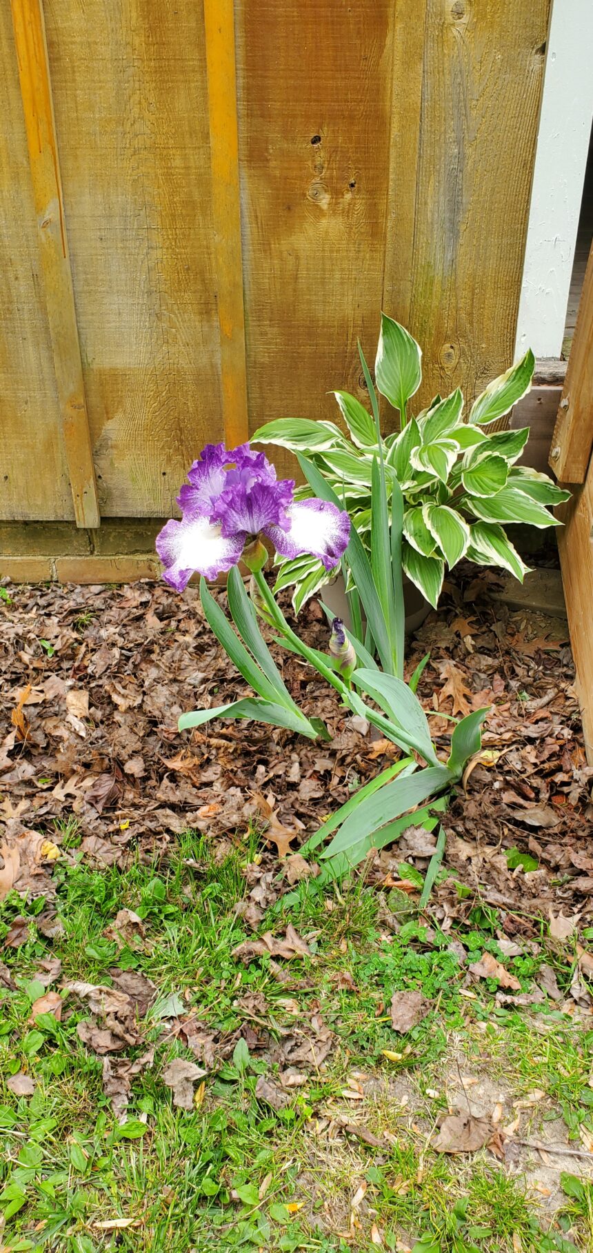 Spring is Here!
