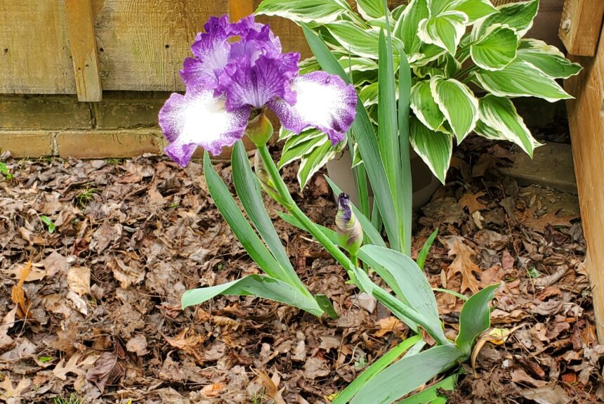Spring is Here!